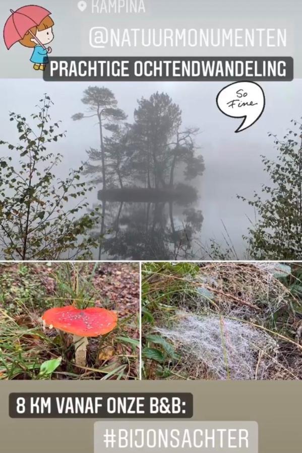 Bed And Breakfast: 'bij Ons Achter'